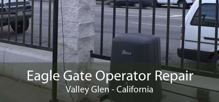 Eagle Gate Operator Repair Valley Glen - California