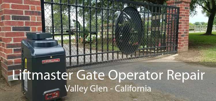 Liftmaster Gate Operator Repair Valley Glen - California